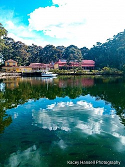 At the pond