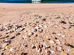 Finding shells