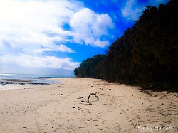 Along the sand