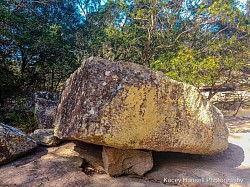 Large bush rock