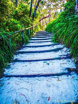 Walkway to the white sand beach