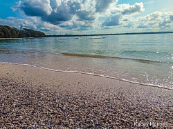 Shelly tide line