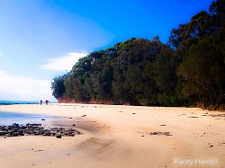 Walking along the beach