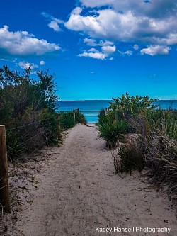 Walkway to the beach