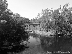 The local bridge