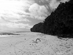 Looking out over the beach