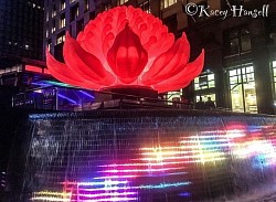 Waterfalls around a large lit up rose