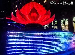 Waterfalls around a lit up red rose