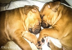 The twins sleeping