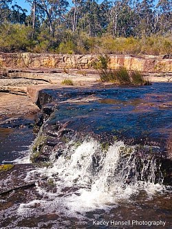 Water gushes from the ledge in the bush