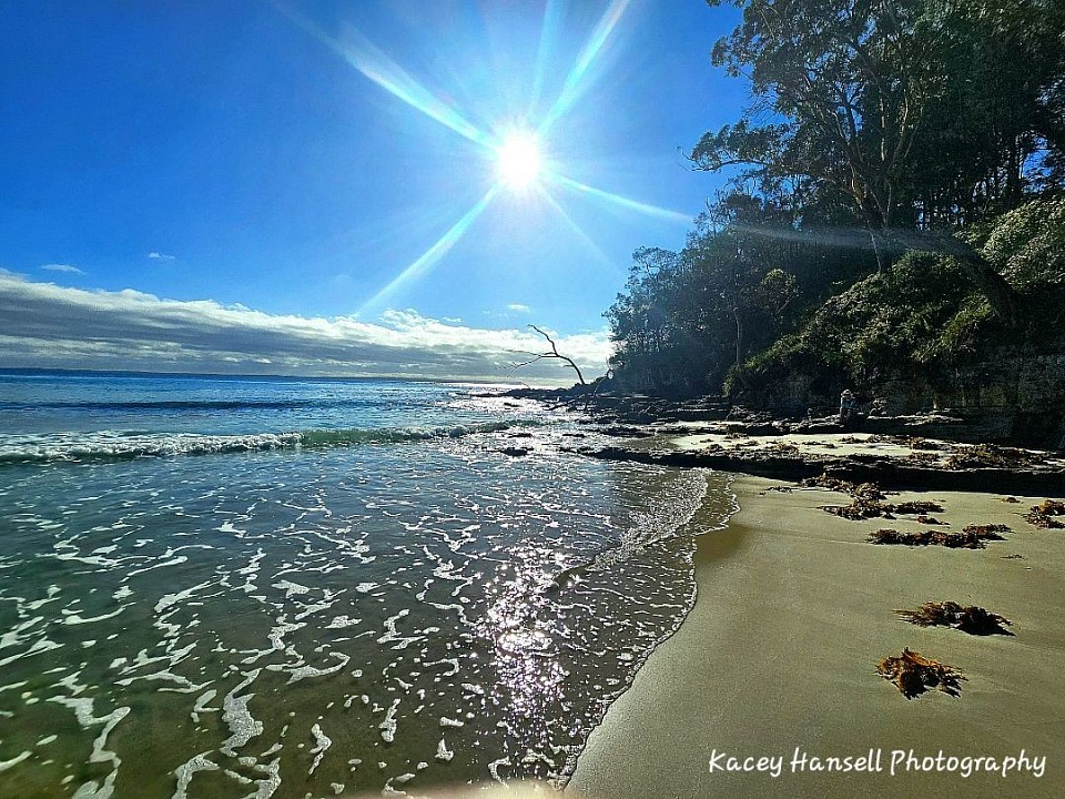 Sun sending flares out over the beach