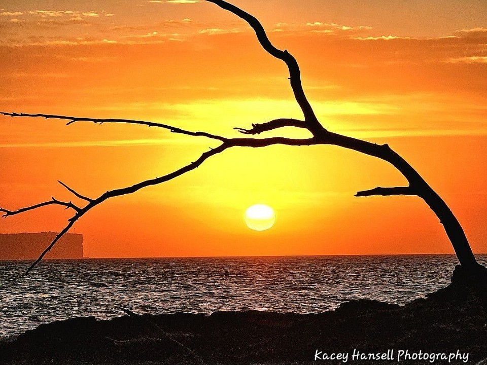 Sun rising over the horizon
