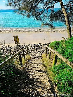 Walkway to the beach