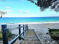 Walkway to the beach